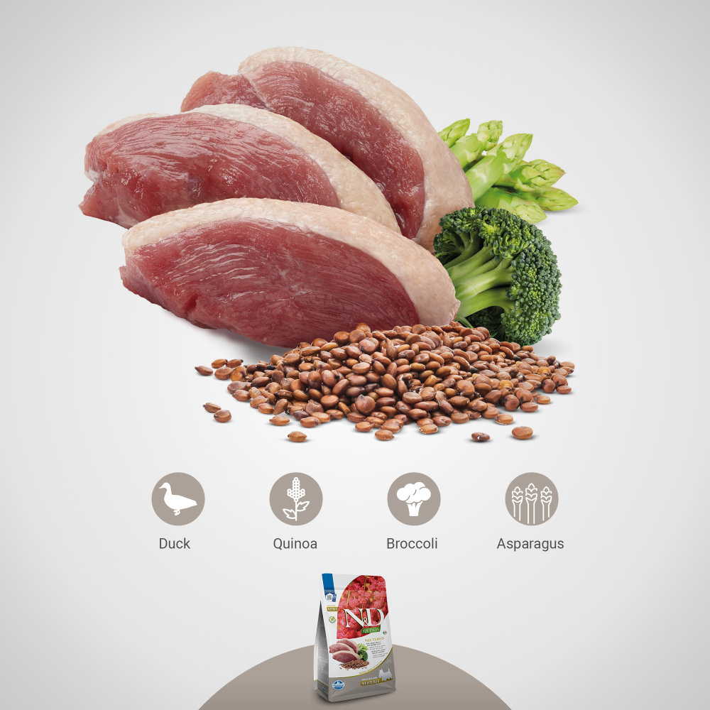 Farmina N&D Neutered Quinoa Duck, Broccoli & Asparagus Adult Mini Dog Dry Food image 6