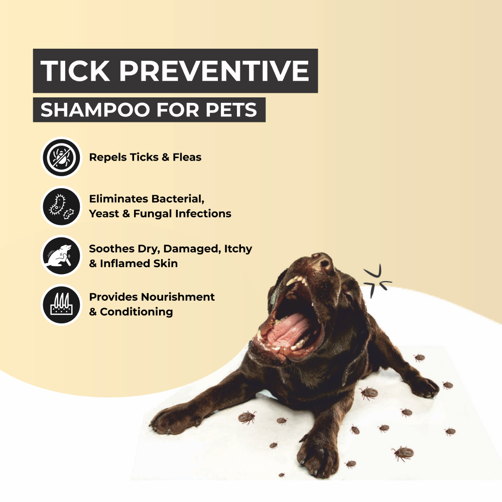 FurBall Story Shampooch Tick Repellent Shampoo for Dogs image 5