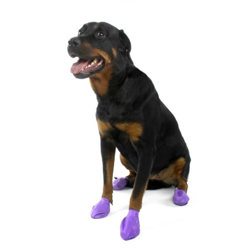 Protex PawZ Disposable and Reusable Boots for Dogs (Purple) image 2