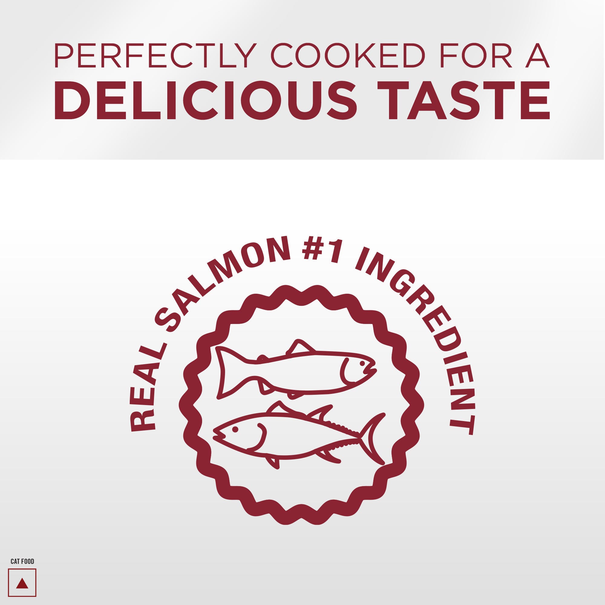 Pro Plan Salmon Tuna Flavoured Adult Cat Dry Food image 7