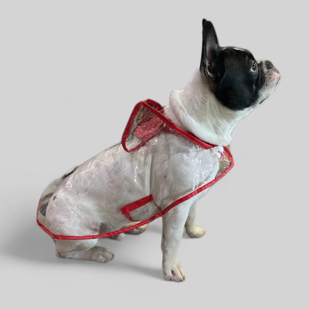 Talking Dog Club Waterproof Raincoat for Dogs (Red) image 5