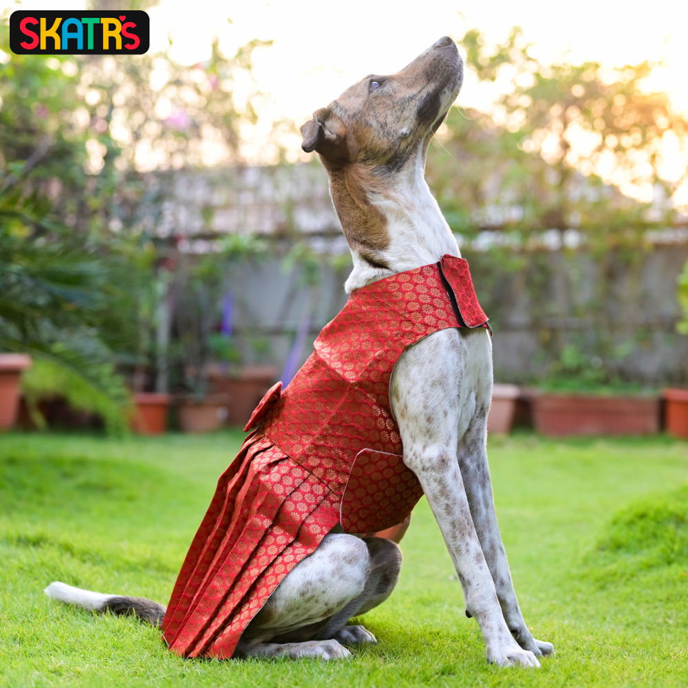 Skatrs Brocade Gold Printed Dress for Dogs and Cats (Red) image 8