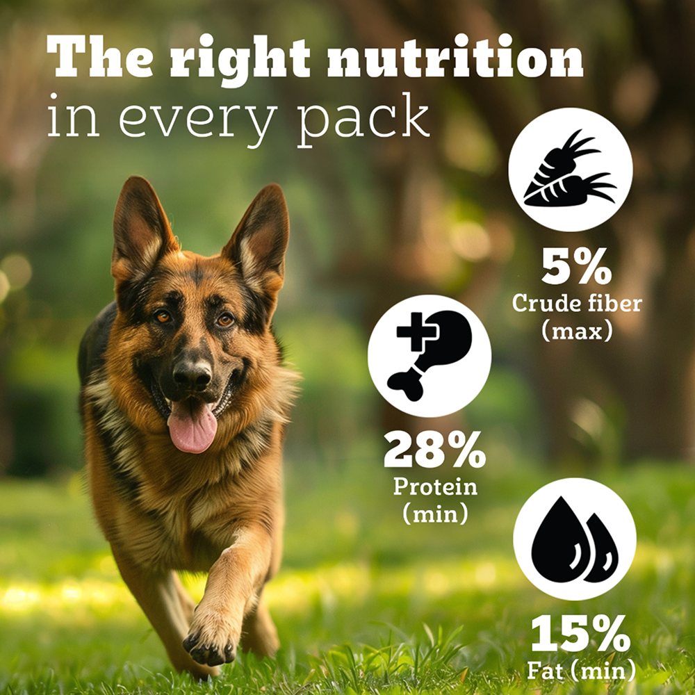 Pedigree PRO Expert Nutrition Active Adult (18 Months Onwards) Large Breed Dog Dry Food image 5