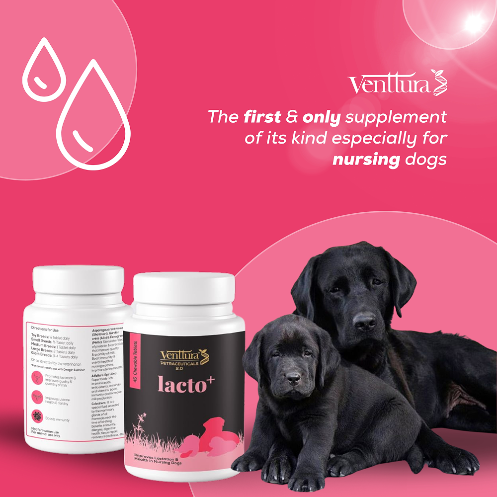 Venttura Lacto Plus Milk Boosters Chewable Tablets for Dogs image 2