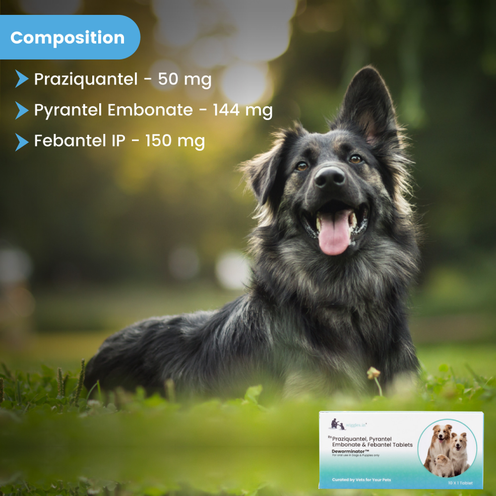 Wiggles Deworminator Deworming Tablets for Dogs and Cats image 3