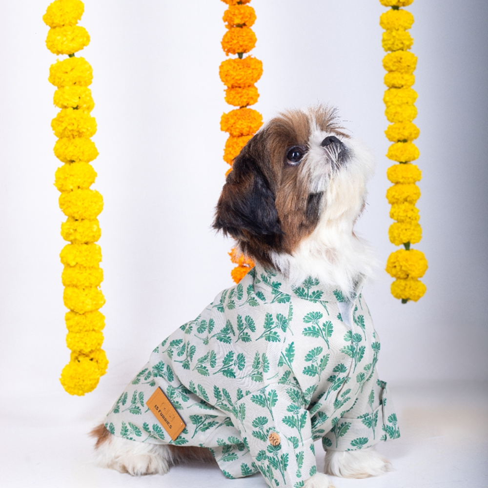 15 Furries Hariyali Kurta for Dogs image 6