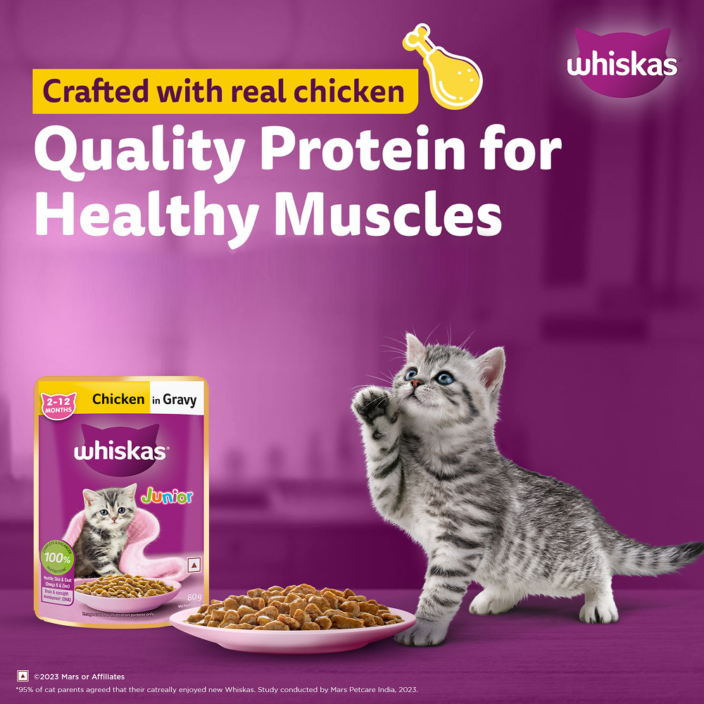 Whiskas Chicken in Gravy Meal Kitten Cat Wet Food image 6