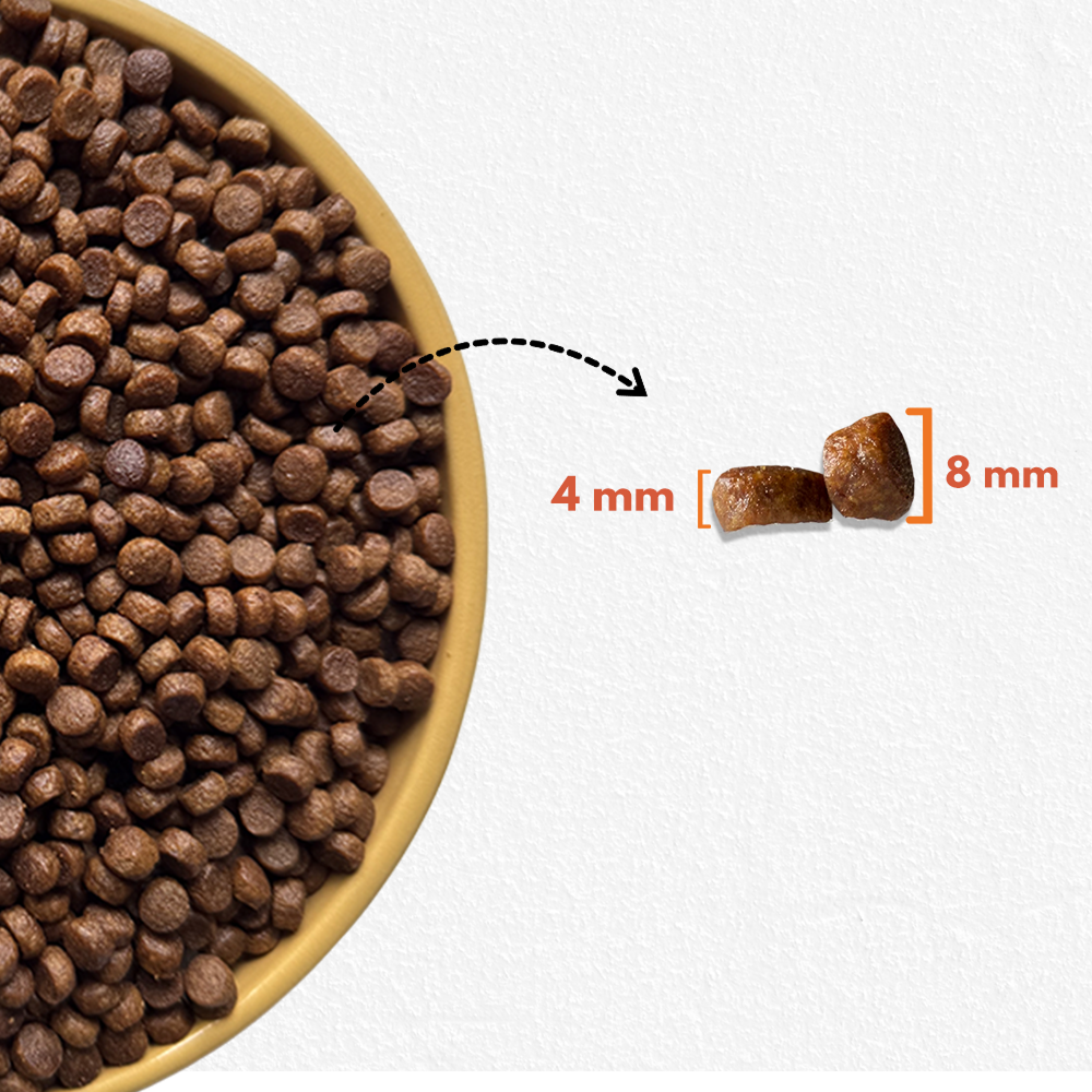 Bruno's Wild Essentials Mother and Puppy Starter Dog Dry Food image 4