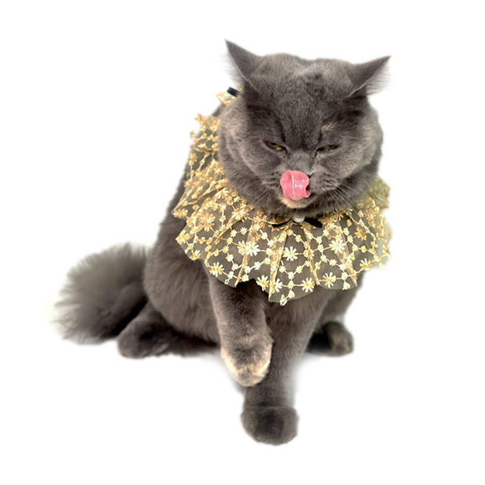 Dogobow Net Ribbon Neck Tutu for Dogs and Cats (Cream) (Get a Bow Free) image 3