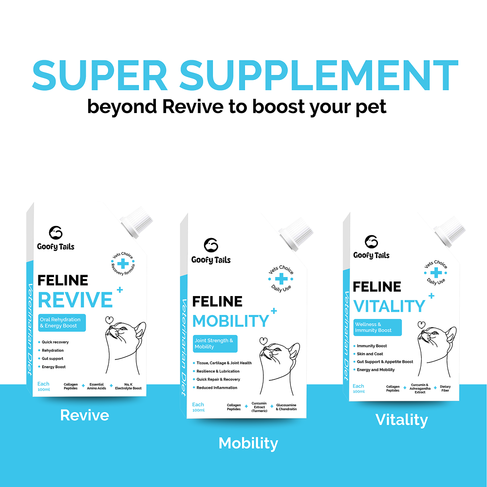 Goofy Tails Chicken Flavoured Feline Vitality + Wellness & Immunity Booster Supplement for Cats image 6