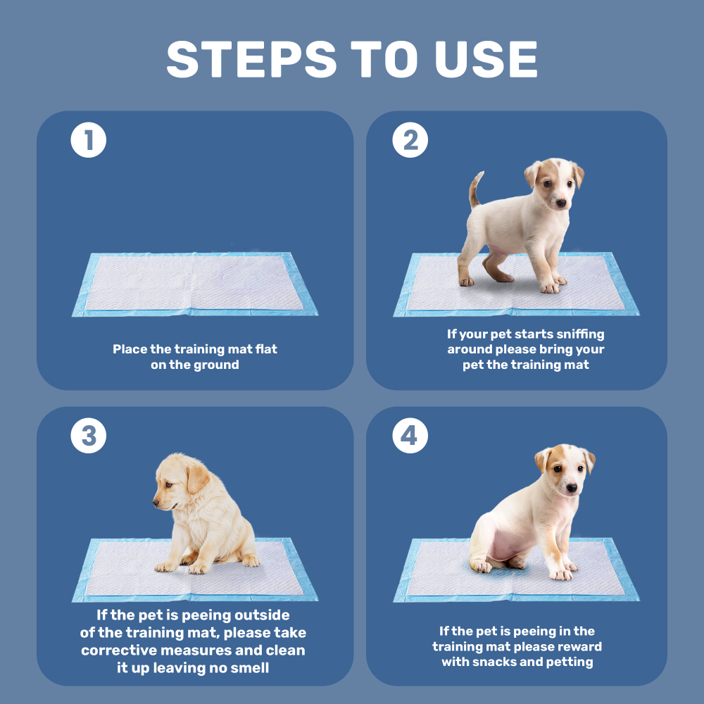 Kibbo Ultra Absorbent Leak Proof Training Pads for Dogs & Cats (45x60cm) image 5