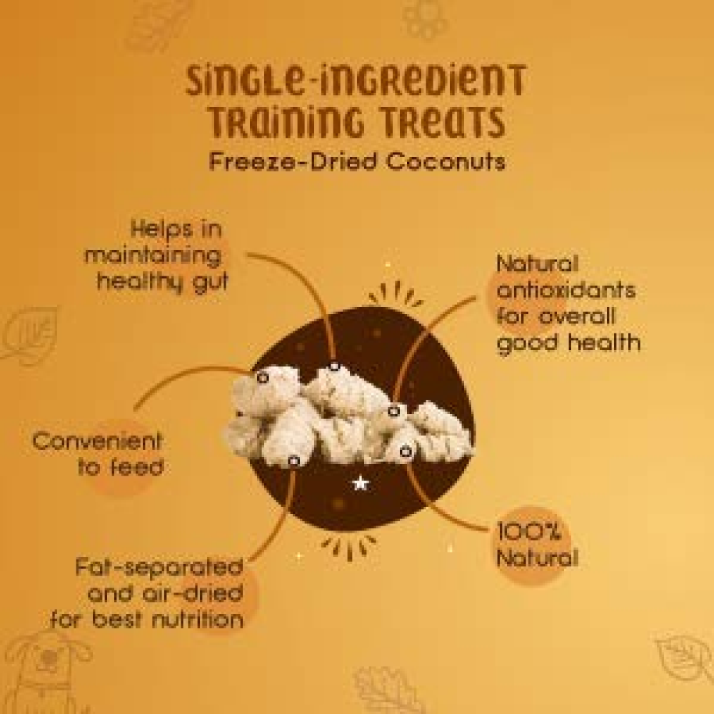 Dogsee Crunch Freeze Dried Coconut Dog Treats image 3