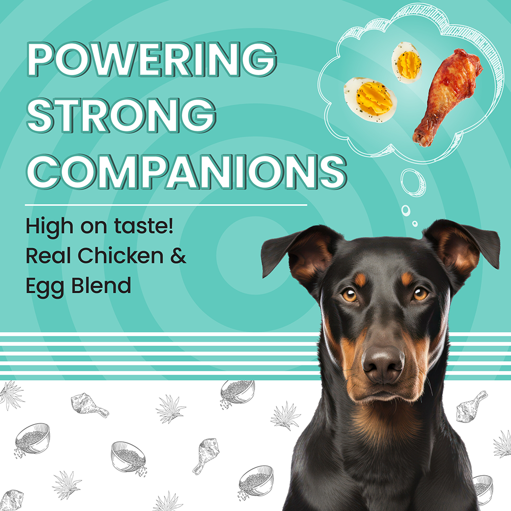 Bark Out Loud Essentials Real Chicken Medium and Large Breed Adult Dog Dry Food image 2