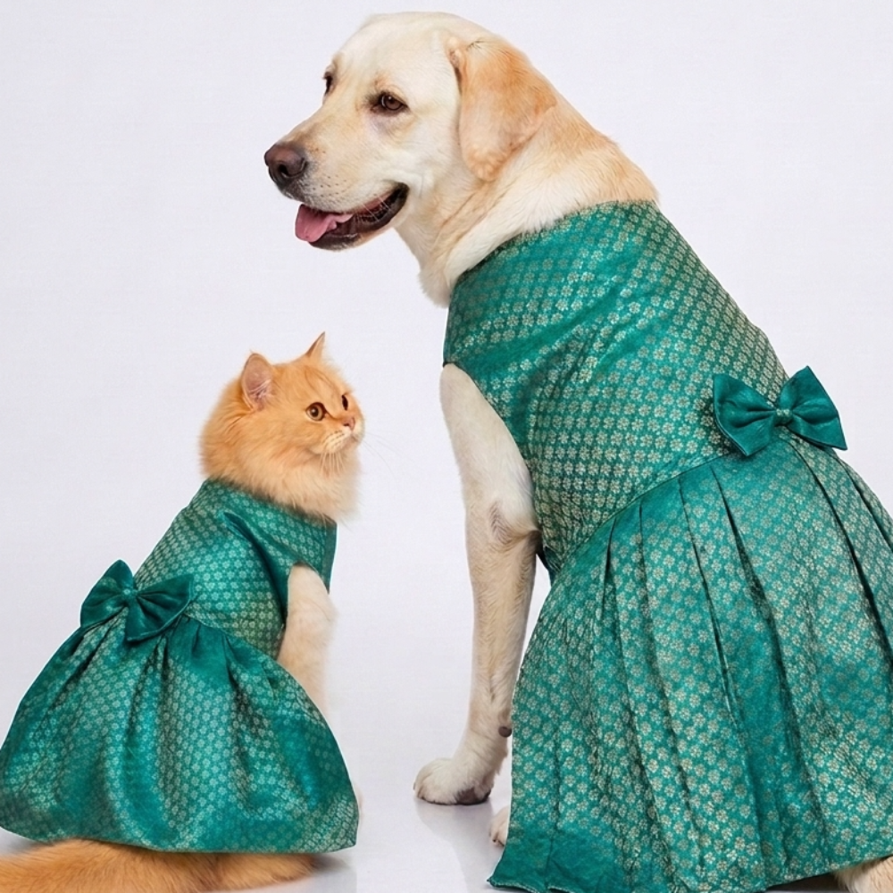 Skatrs Brocade Gold Printed Dress for Dogs and Cats (Teal)