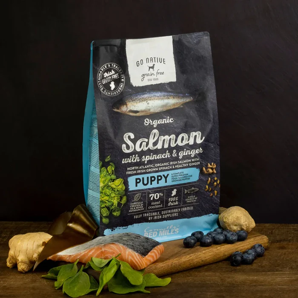 Go Native Salmon with Spinach & Ginger Puppy Dog Dry Food