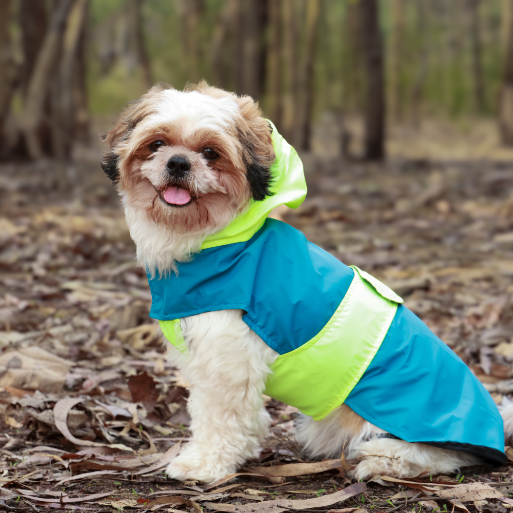 Pet Set Go Splash Waterproof Raincoat for Dogs (Neon Blue) image 4
