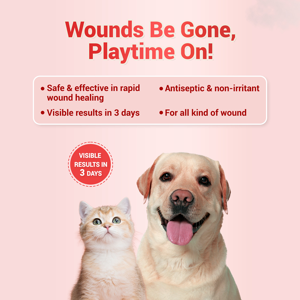 Natural Remedies Topicure Pet Wound Healing Spray for Dogs and Cats image 4