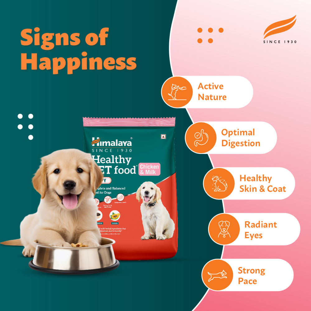 Himalaya Chicken & Milk Healthy Pet Puppy Dry Food image 8