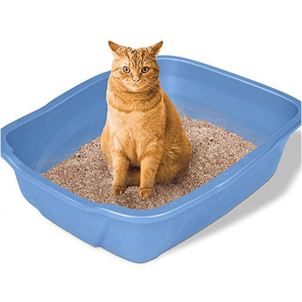 Emily Pets Lemon Scented Cat Litter image 4
