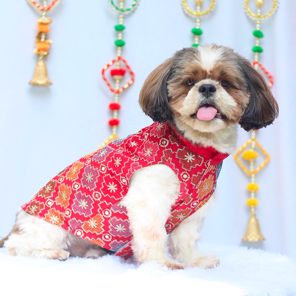 Pawgypets Festive Patola Kurta for Dogs (Red) image 2