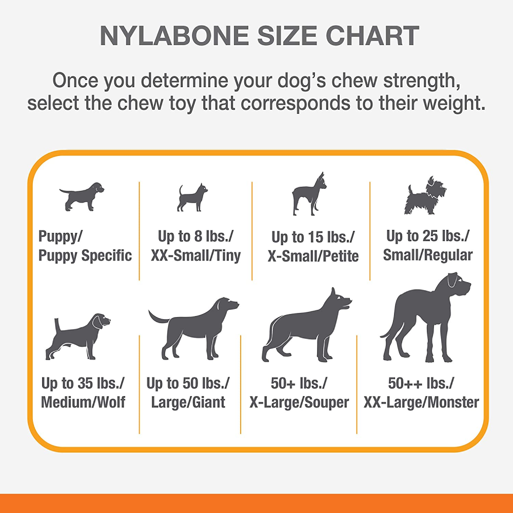 Nylabone Puppy Teething Lamb and Apple Flavoured Chew Bone Toy for Dogs (Yellow) image 7