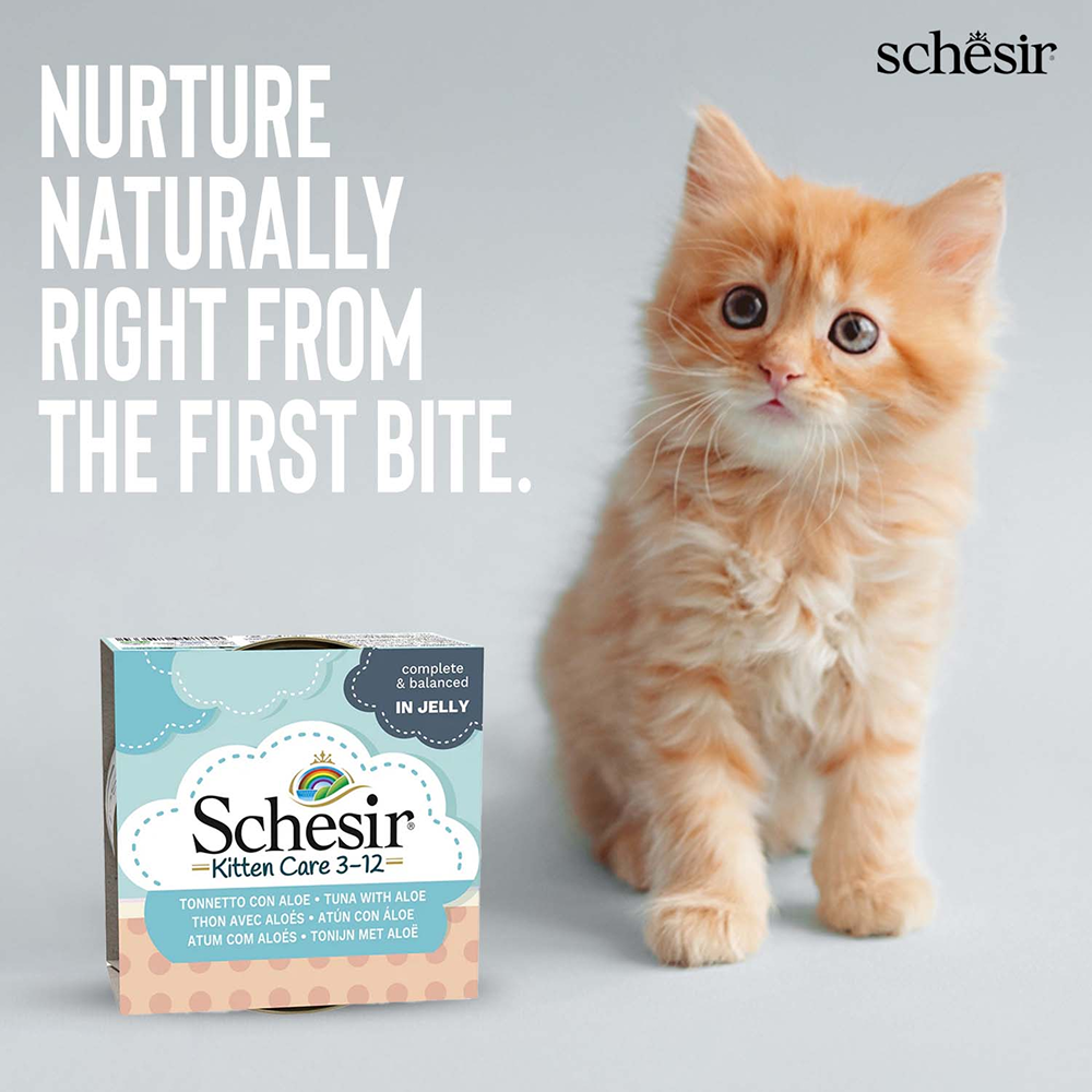 Schesir Tuna Whole Meat and Rice with Aloe Vera in Jelly Cat Wet Food image 5