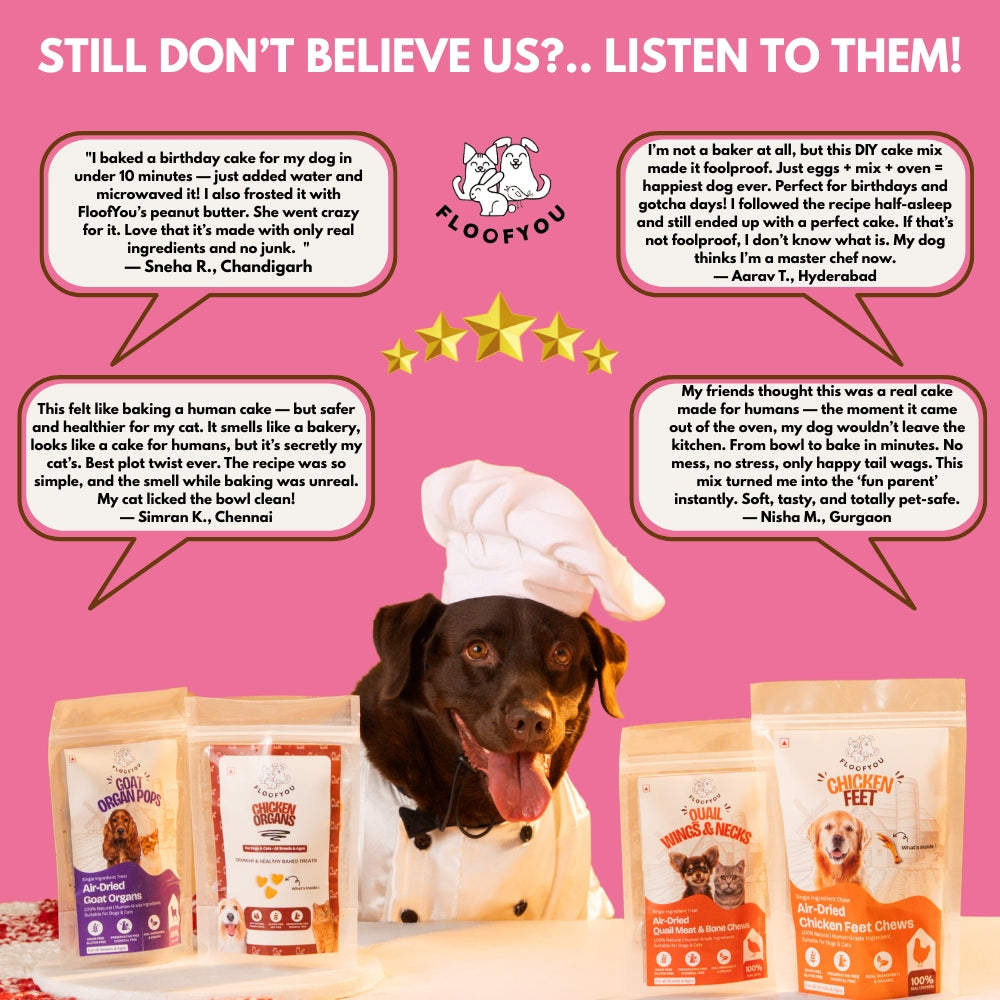 Floofyou Home Made Chicken Liver Birthday Cake Mix for Dogs and Cats image 6