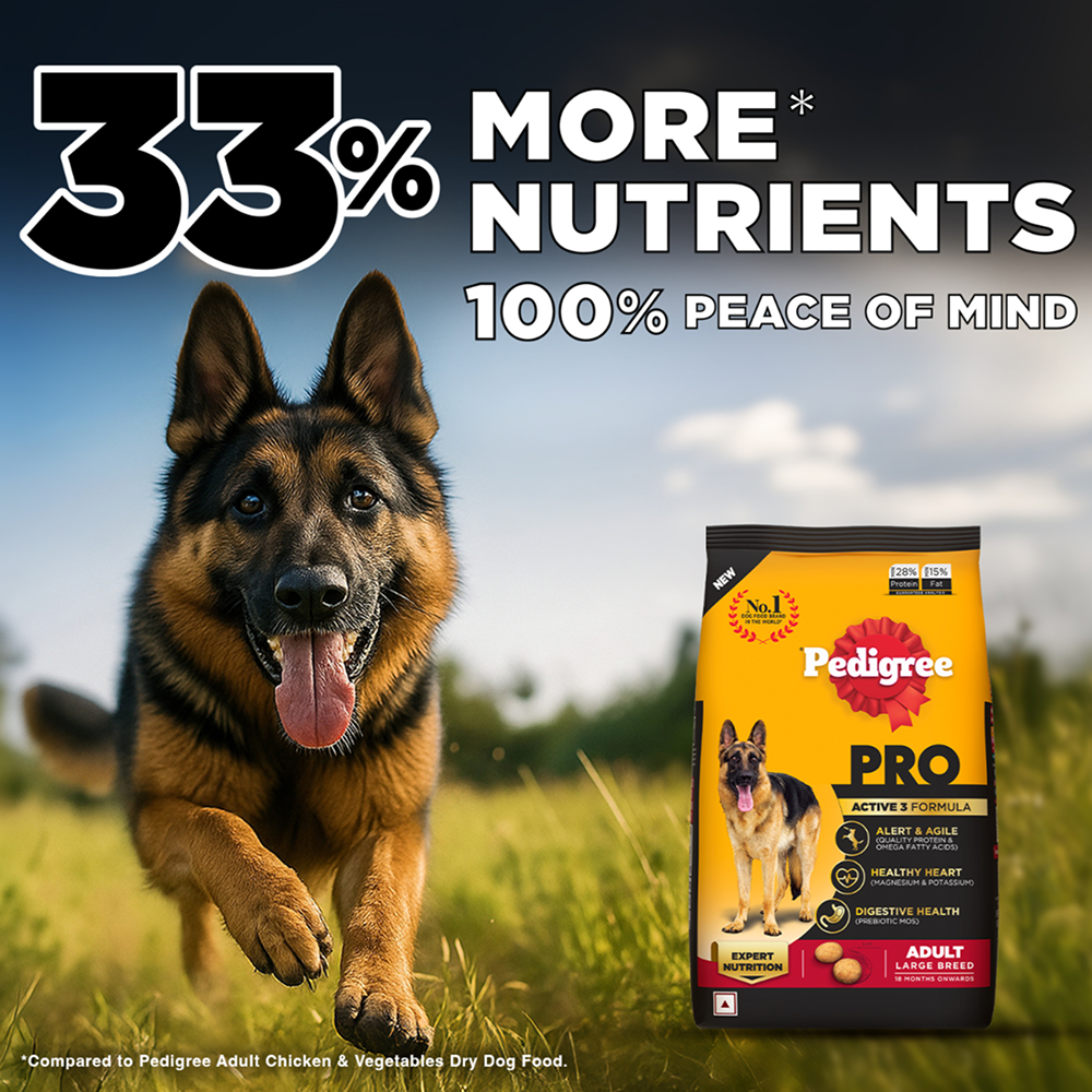 Pedigree PRO Expert Nutrition Active Adult (18 Months Onwards) Large Breed Dog Dry Food image 3