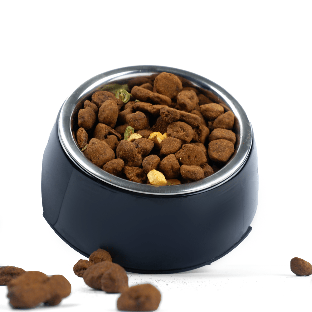 Basil Solid Color Melamine Bowl for Dogs and Cats (Grey) image 6