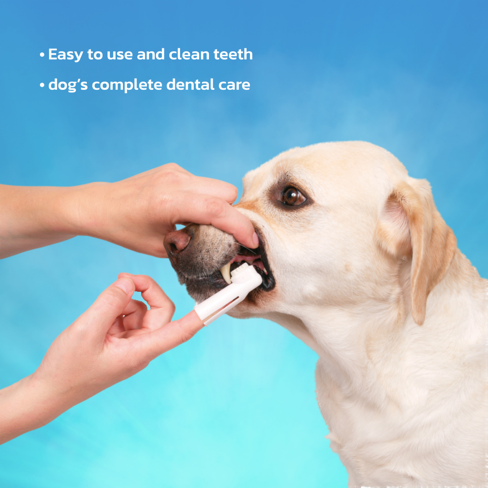 Trixie Dental Hygiene Kit for Dogs image 6