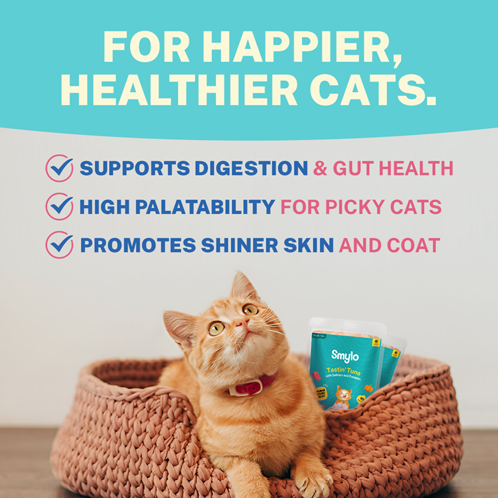 Smylo Adult Tuna Salmon & Pumpkin, Fresh & No-Preservative Wet Cat Food image 8