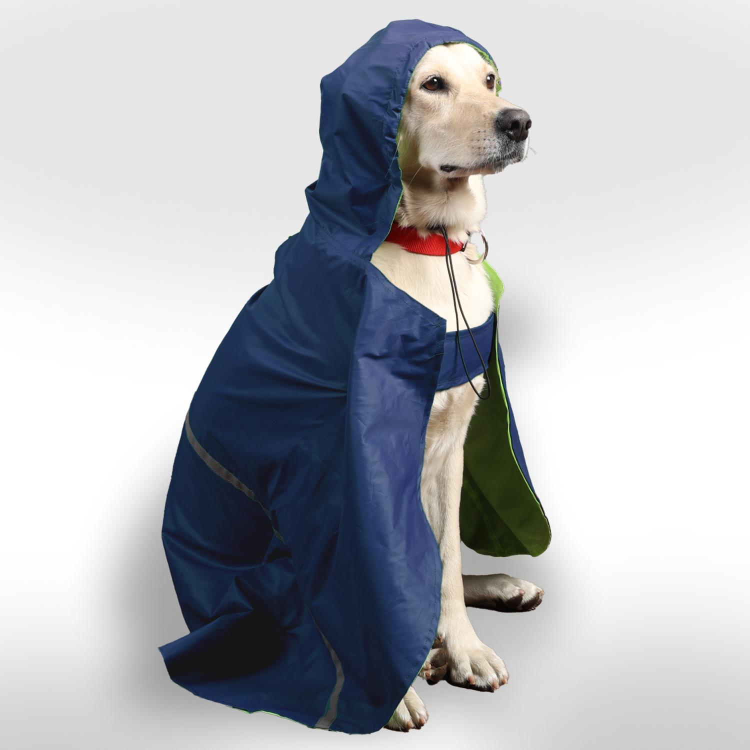 Skatrs Full Coverage Cape Style Raincoat for Dogs and Cats (Blue) image 7