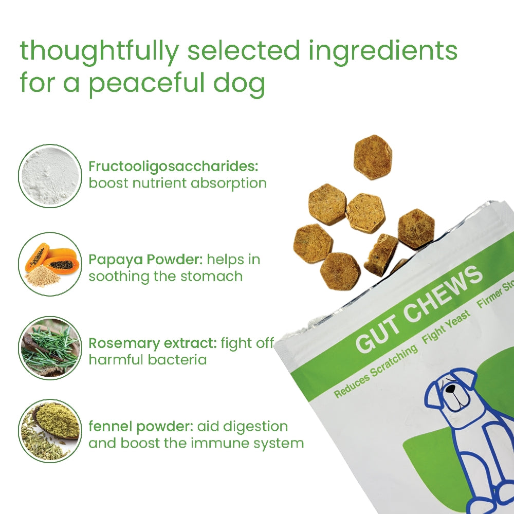 Nootie+ Digestive & Probiotic Gut Chew Supplement for Dogs image 5