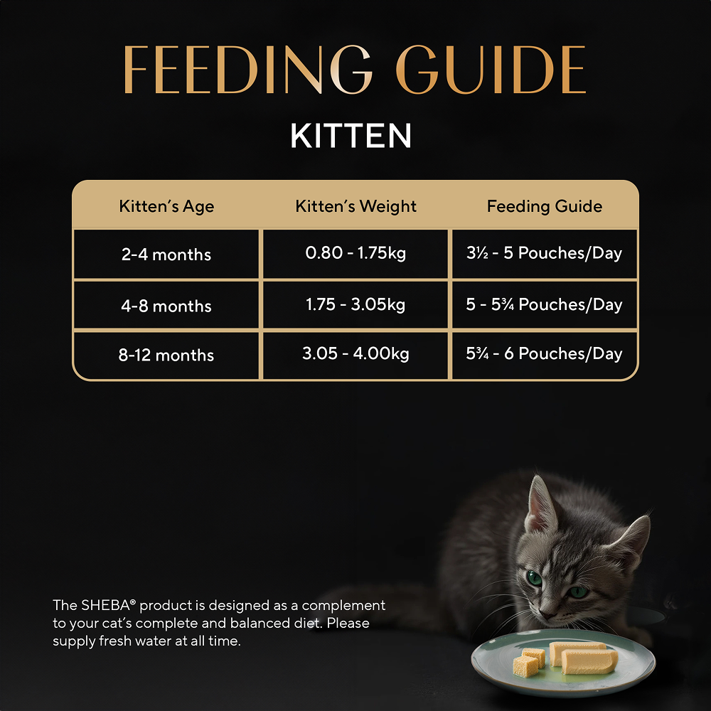 Sheba Maguro Pate Rich Premium Kitten Cat Wet Food image 7