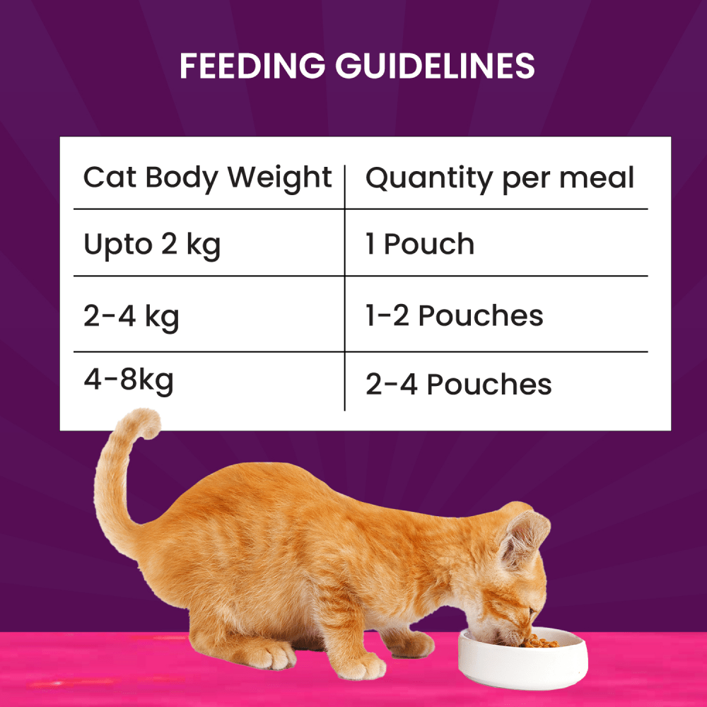 Goofy Tails Tuna and Anchovies Cat Wet Food image 2
