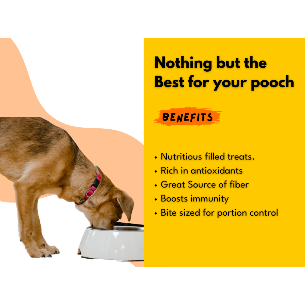 Sploot Crunchies Chicken and Cinnamon 100% Human Grade Biscuits Dog Treats image 6
