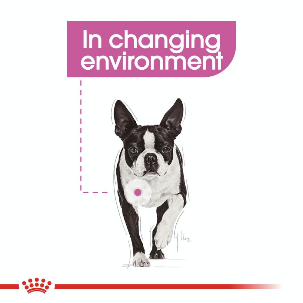 Royal Canin Relax Care Mini Dry Dog Food image 8