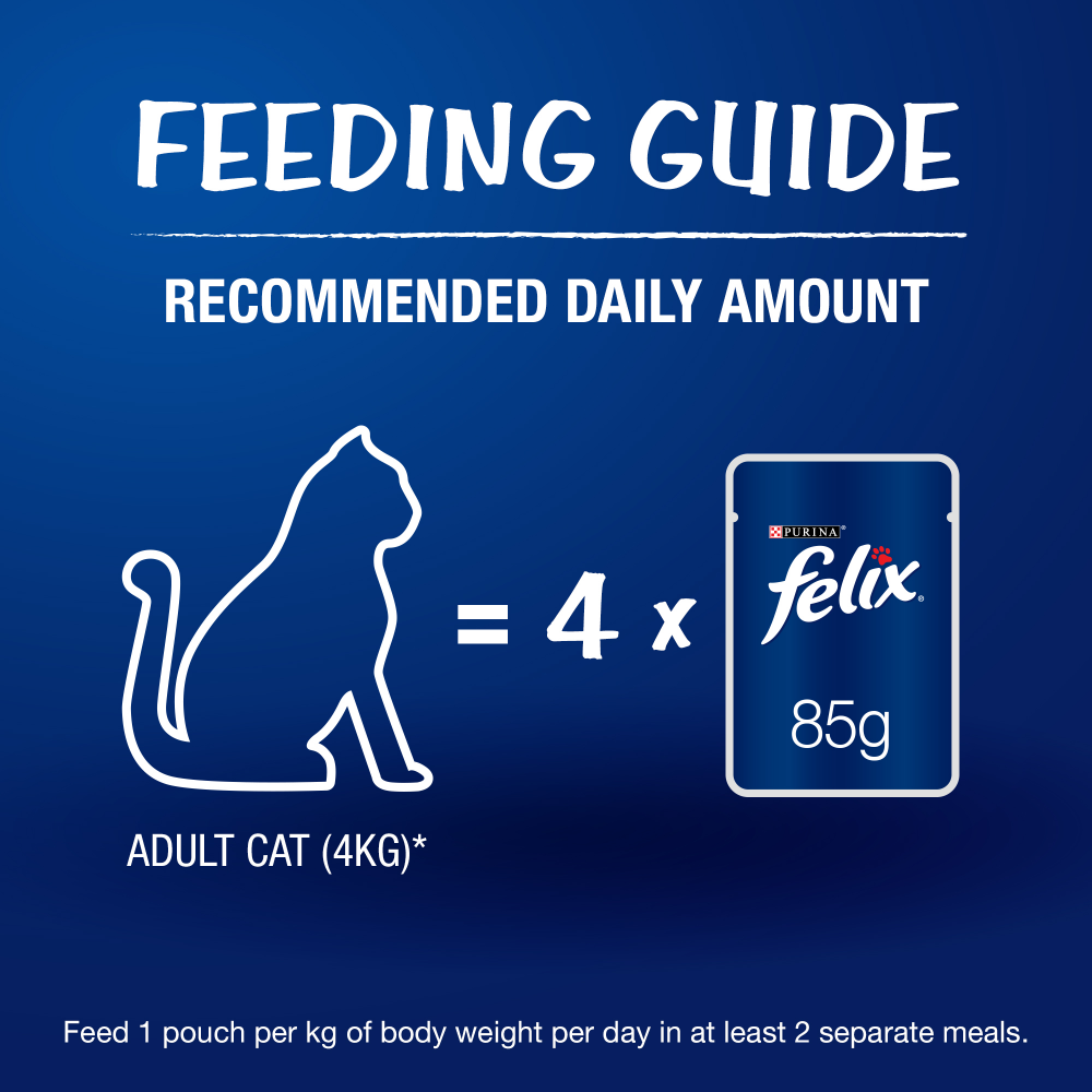 Purina Felix with Salmon in Jelly Adult Complete and Balanced Cat Wet Food image 4