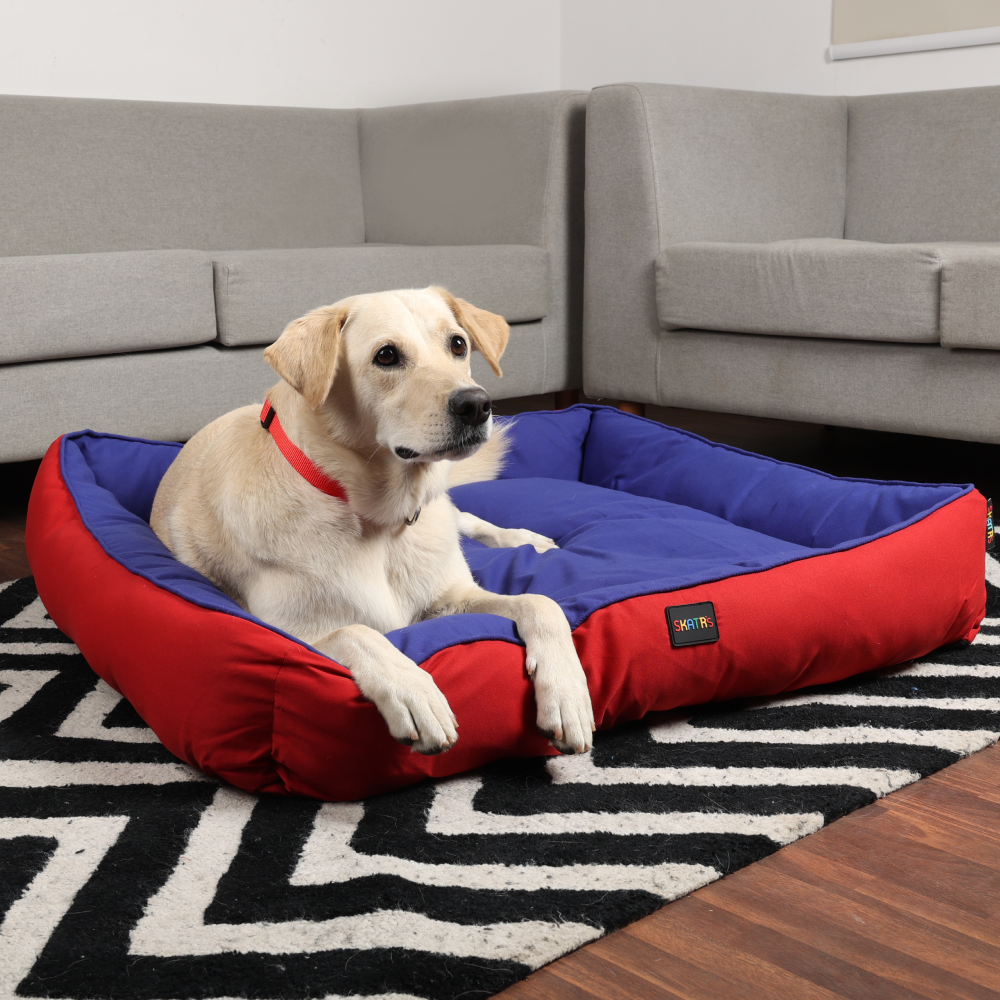 Skatrs Square Shaped Bed for Dogs & Cats (Red & Blue) image 4