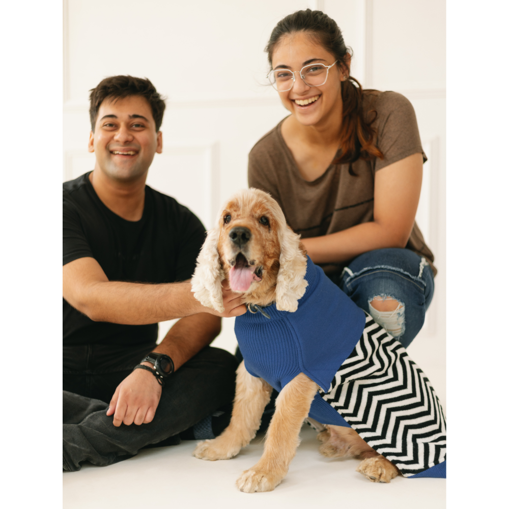 Pet Set Go Raisin’s Sweater for Dogs and Cats (Blue & Black) image 6