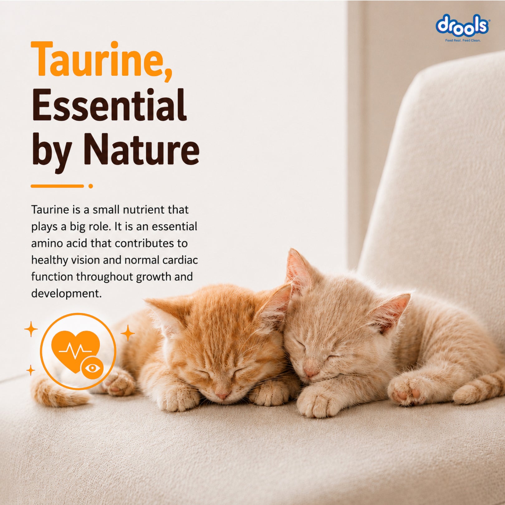 Drools Real Chicken Kitten Dry Food image 7