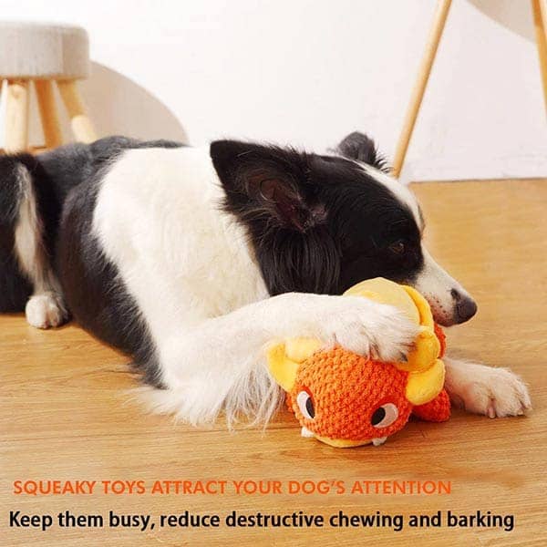 Pawsindia Drogo the Turtle Toy for Dogs image 5