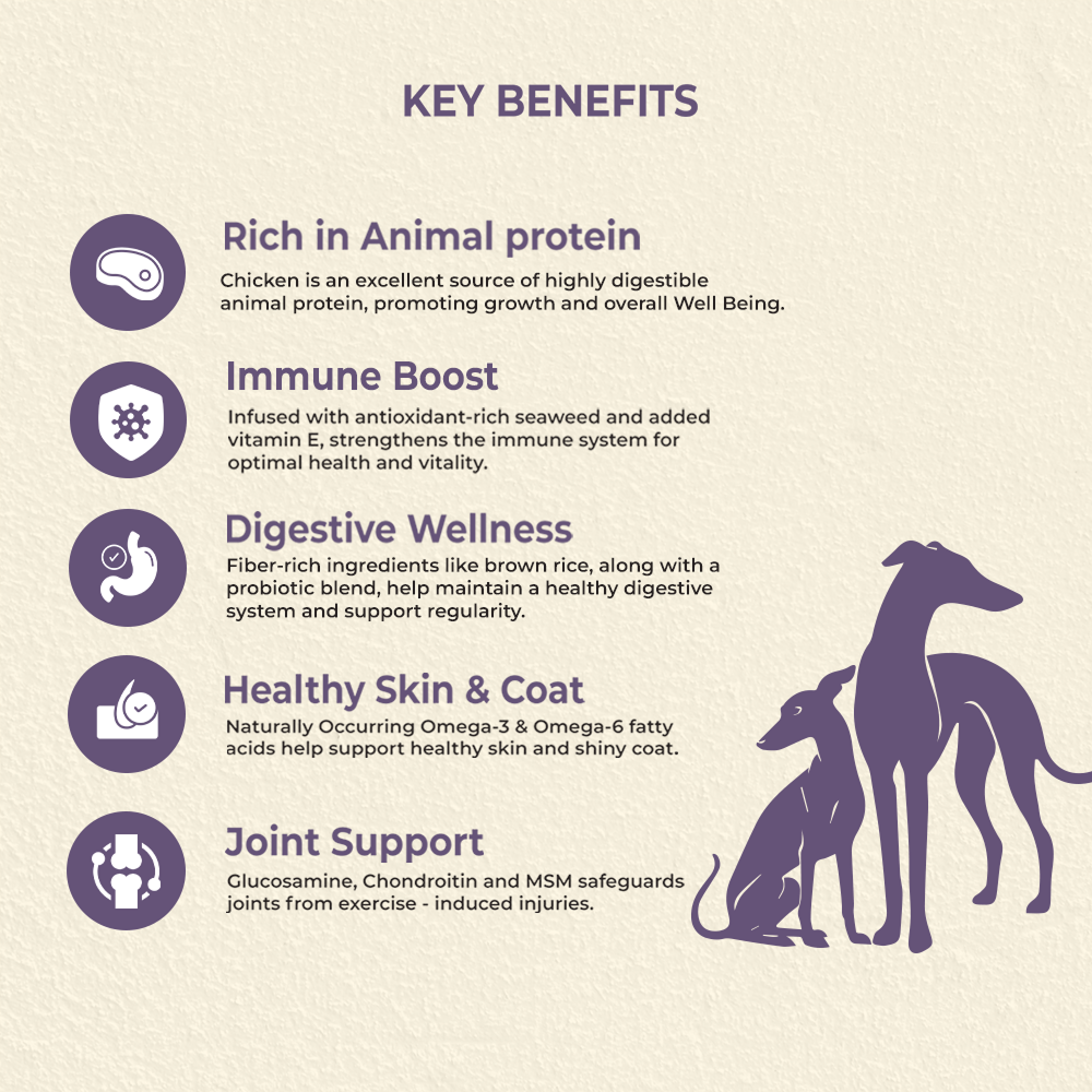 Bruno's Wild Essentials Puppy & Junior Dog Dry Food image 4