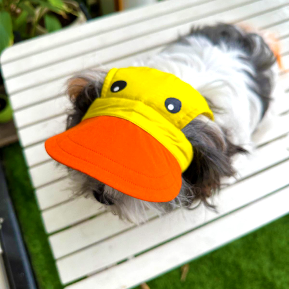 Dogobow Duckie Cap for Dogs and Cats (Yellow/Orange) (Get a Bow Free) image 6