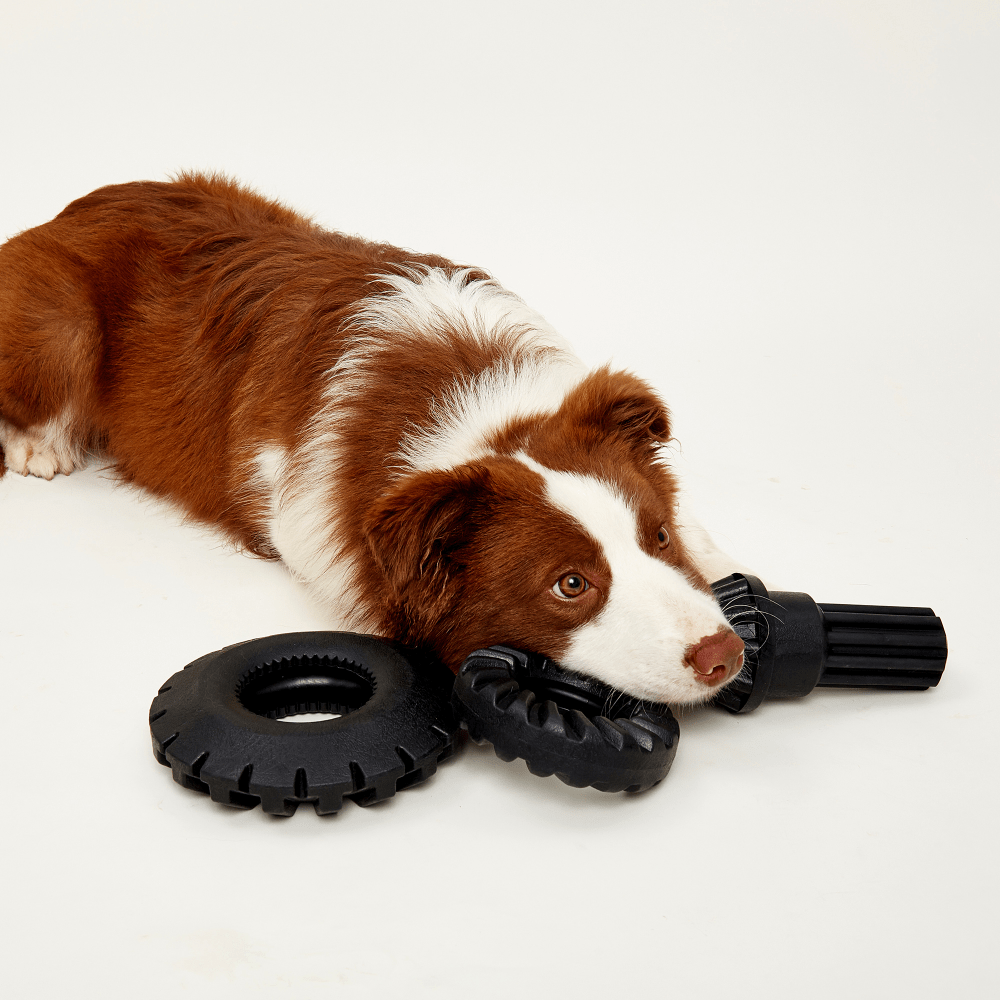 Barkbutler x Fofos Tyre Toy for Dogs image 8