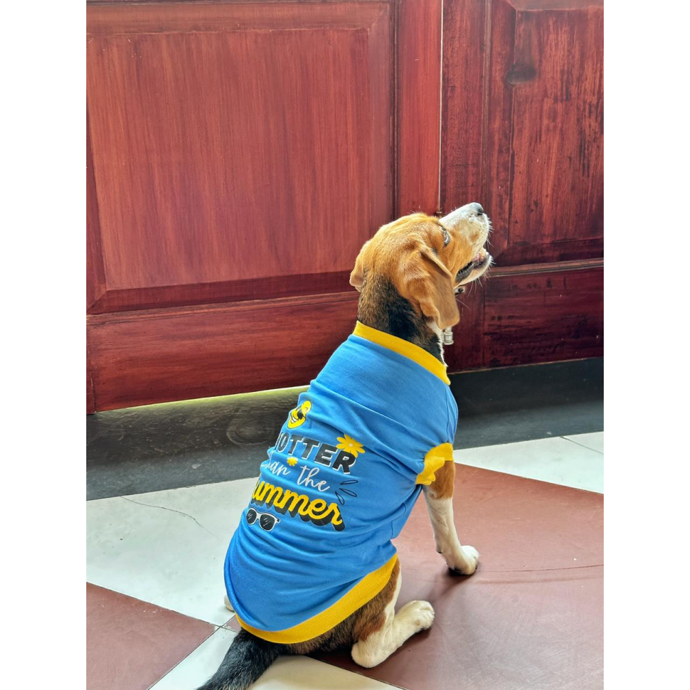 Pet Set Go Hotter Than The Summer Sleeveless T Shirt for Dog (Blue) image 8