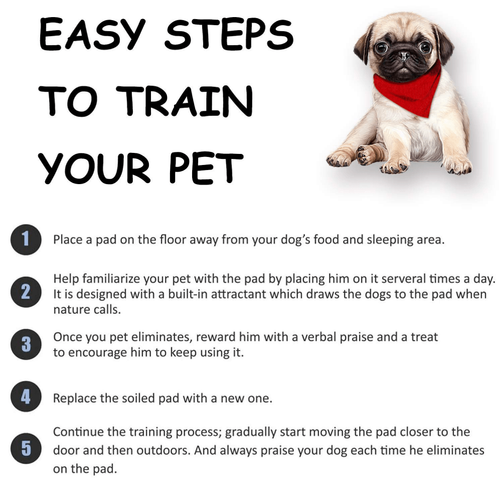 Basil Charcoal Training Pads for Puppies (60x45cm) image 6
