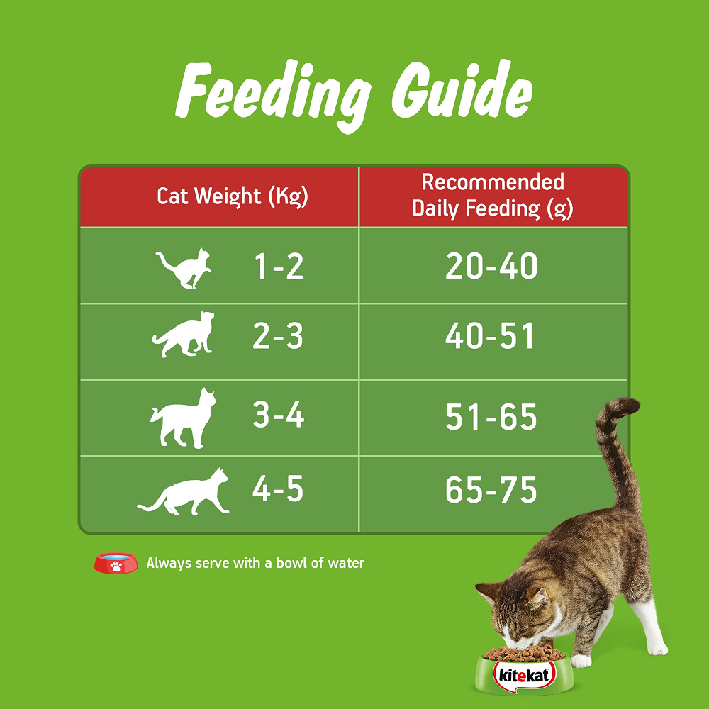 Kitekat Ocean Fish Adult Cat Dry Food image 9