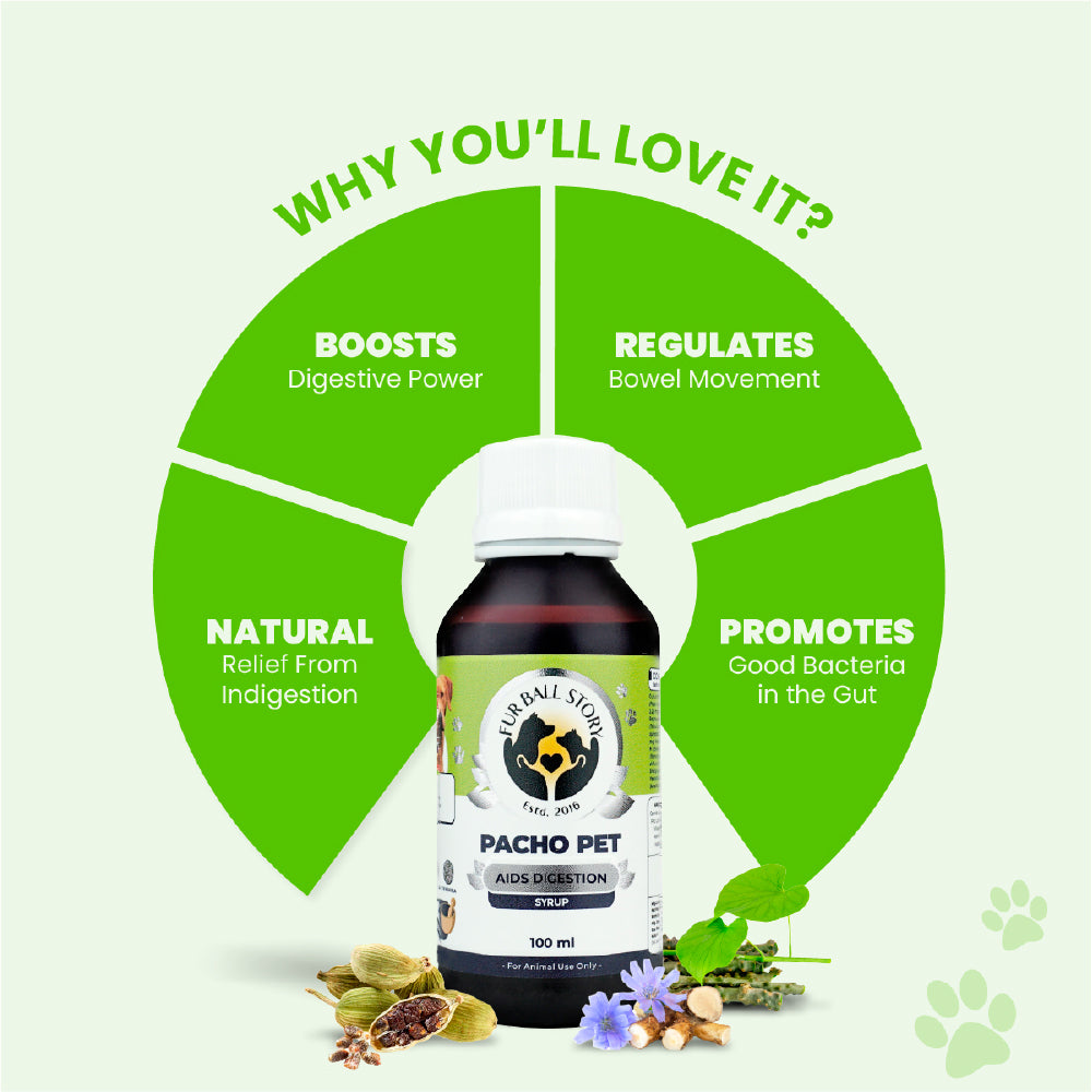 FurBall Story Pacho Relieves Stomach Issues Syrup for Dogs & Cats image 5
