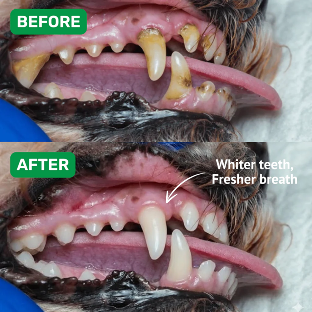 Absolut Pet Oral Care Plaque & Tartar Remover Chews Dog Supplements image 6